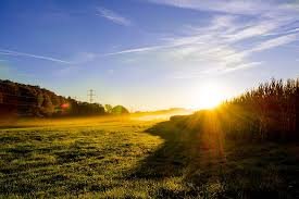 7 health benefits of sunlight