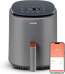 best air fryer 2025 under $100
